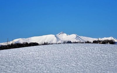 Pensamientos de enero: algo crece y se agranda dentro de vosotros