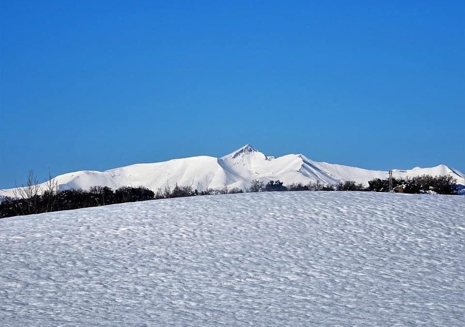 Pensamientos de enero: algo crece y se agranda dentro de vosotros