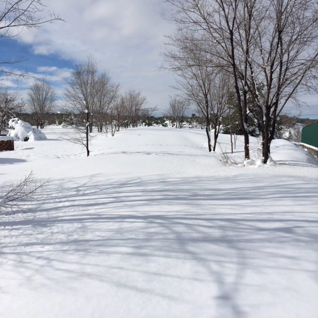 Pensamientos de enero: las semillas que esparcimos