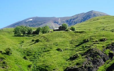 Pensamientos de enero: sabréis ser generosos …