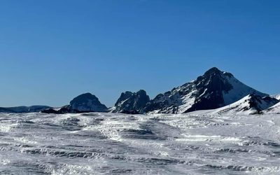 Pensamientos de enero: bendecid