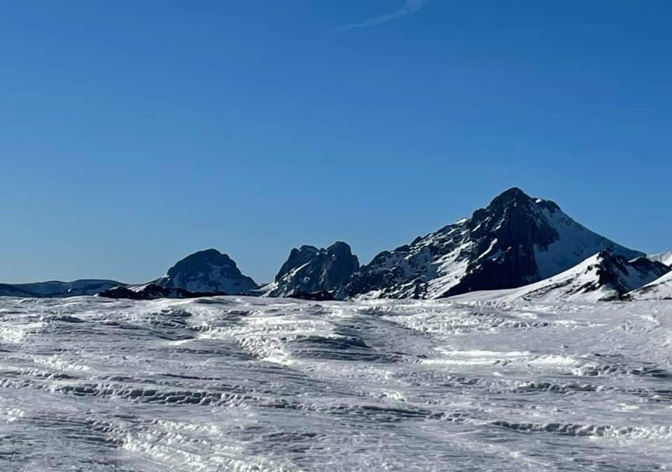 Pensamientos de enero: bendecid