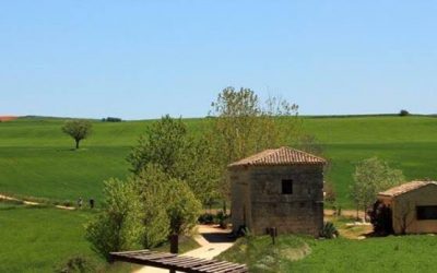 Pensamientos de febrero: la armonía