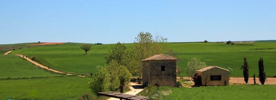 Pensamientos de febrero: la armonía