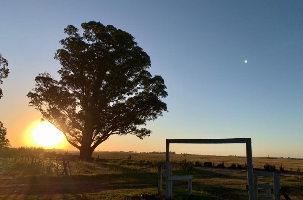 Pensamientos de enero: ser templos
