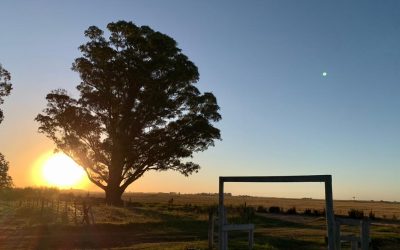 Pensamientos de enero: ser templos