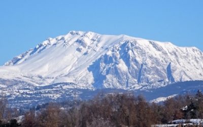 Pensamientos de enero: trabajad sin queja.