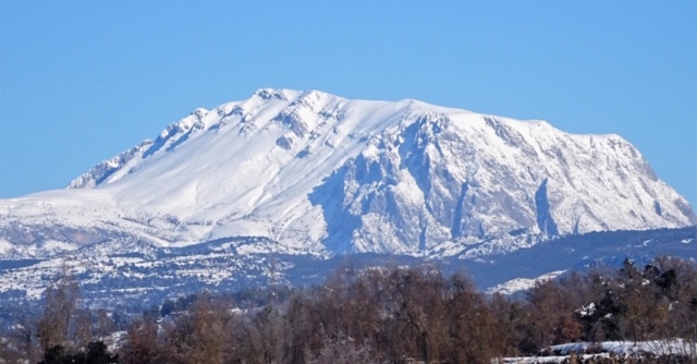 Pensamientos de enero: trabajad sin queja.