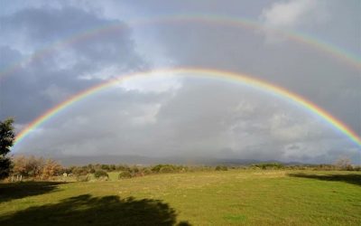 Pensamientos de febrero: vivificar todo el universo