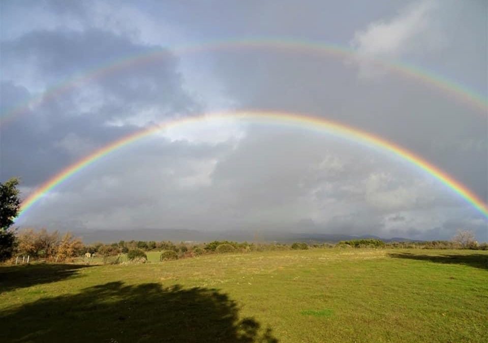 Pensamientos de febrero: vivificar todo el universo