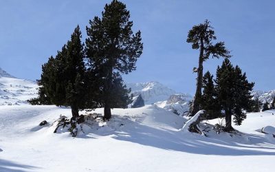 Pensamientos de febrero: intentad vigilar lo que decís …