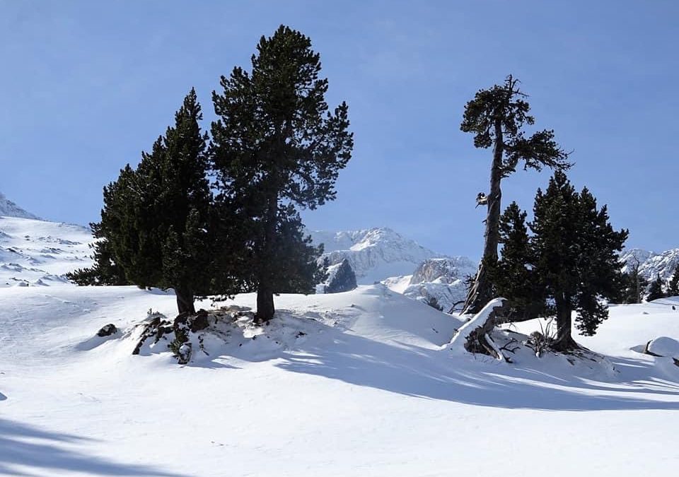 Pensamientos de febrero: intentad vigilar lo que decís …