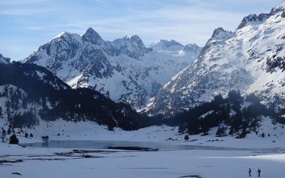 Pensamientos de febrero: recibiréis luz y fuerzas