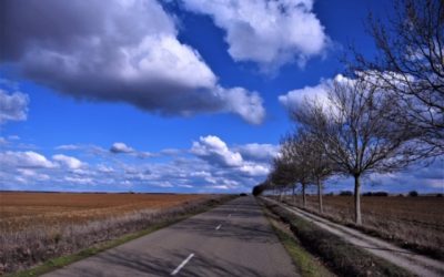 Pensamientos de febrero: Adelante, hermano mío