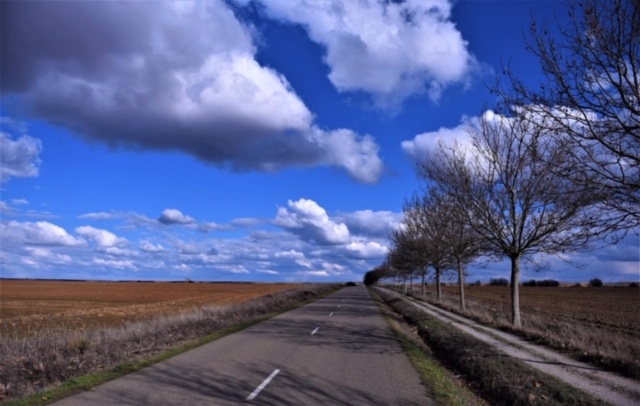 Pensamientos de febrero: Adelante, hermano mío