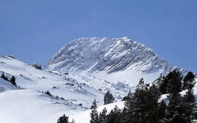 Pensamientos de marzo: la verdadera fuerza