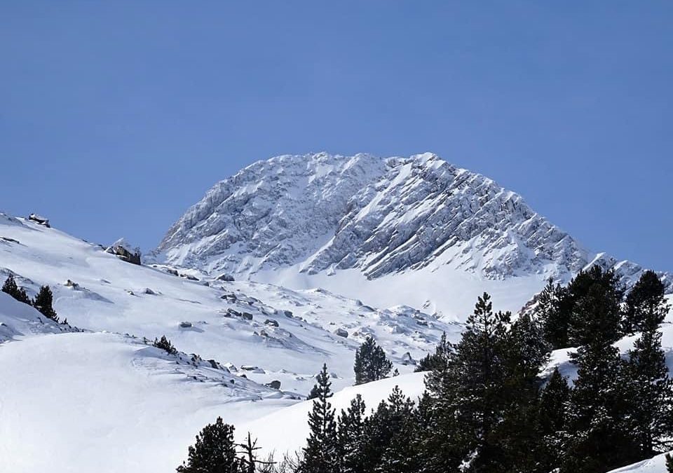 Pensamientos de marzo: la verdadera fuerza