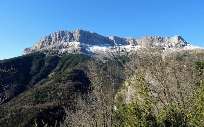 Pensamientos de marzo: ser noble, justo y generoso