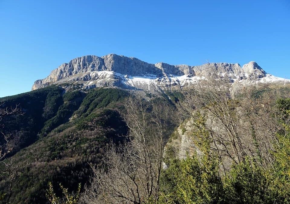 Pensamientos de marzo: ser noble, justo y generoso