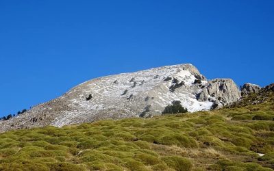 Pensamientos de marzo: el regreso de la luz y el calor