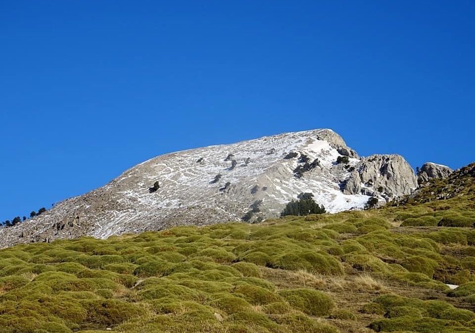 Pensamientos de marzo: el regreso de la luz y el calor