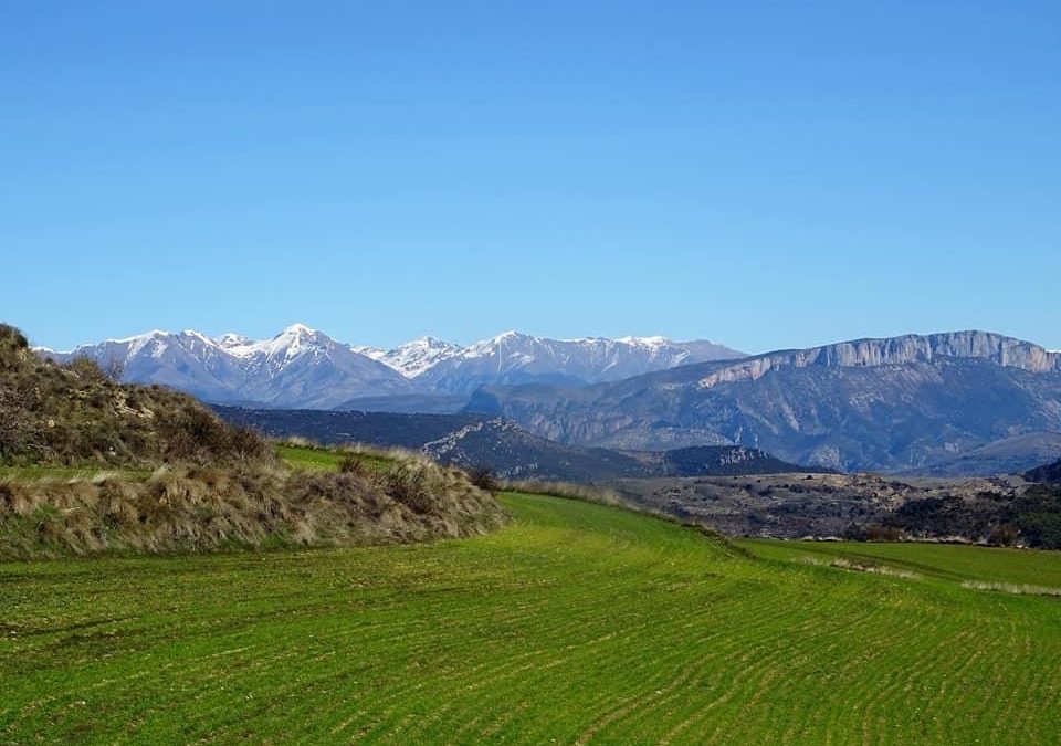 Pensamientos de marzo: despertar en vosotros el amor por la luz