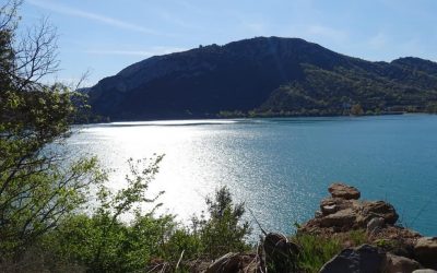 Pensamientos de abril: tomar las riendas