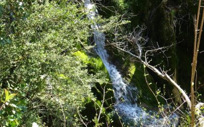 Pensamientos de abril: poned vuestra atención sobre el alimento