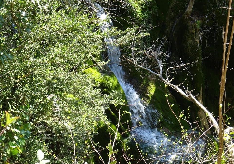 Pensamientos de abril: poned vuestra atención sobre el alimento