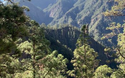 Pensamientos de abril: amar el silencio