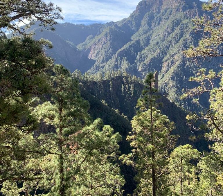 Pensamientos de abril: amar el silencio