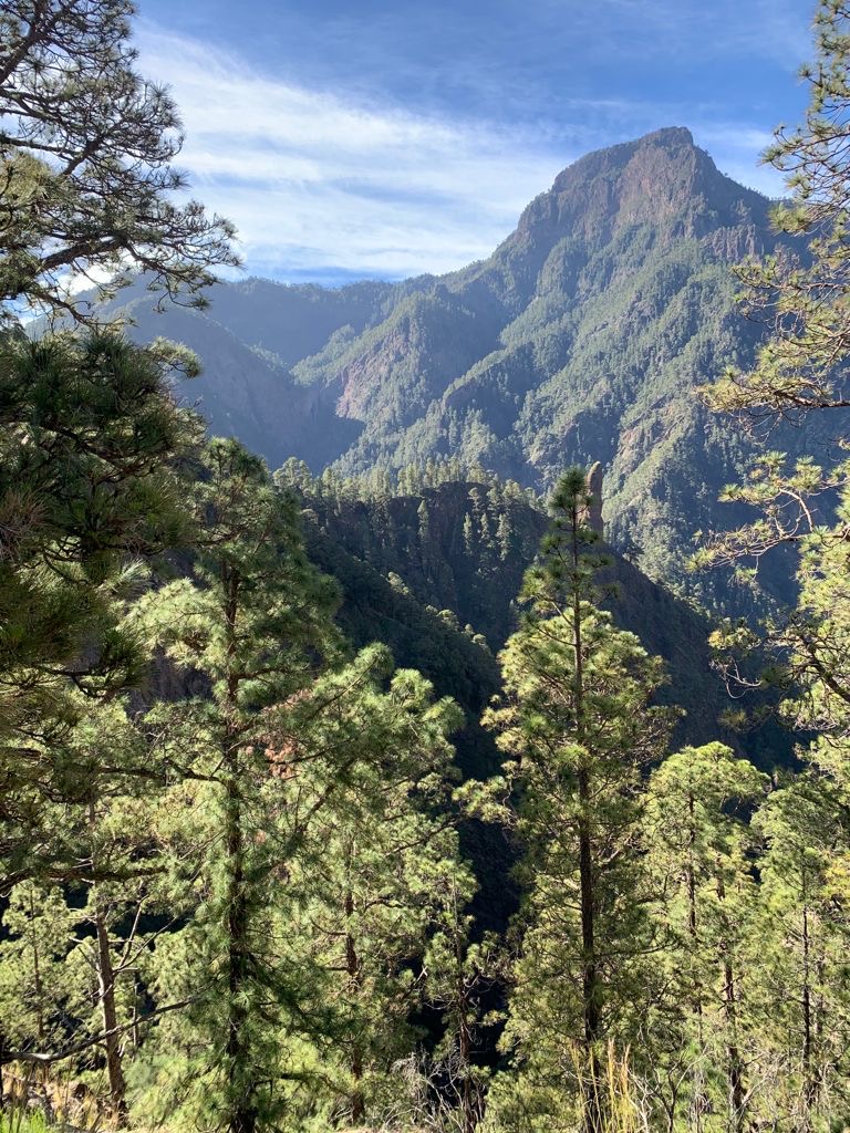 Pensamientos de abril: amar el silencio