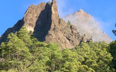 Pensamientos de abril: buscar la divinidad