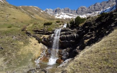 Pensamientos de abril: que la luz, el amor y el poder del espíritu desciendan sobre la tierra