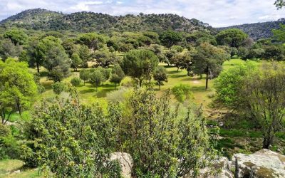 Pensamientos de abril: ese algo que nos falta