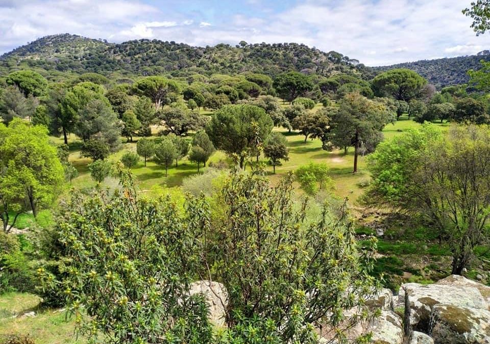 Pensamientos de abril: ese algo que nos falta