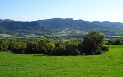 Pensamientos de mayo: pero si estáis llenos de buena voluntad…