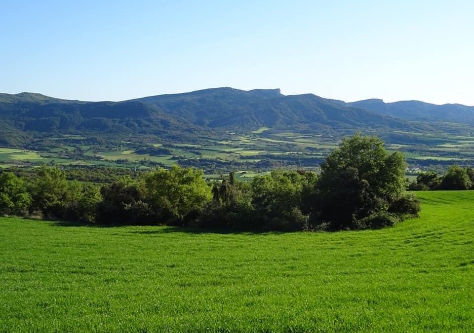 Pensamientos de mayo: pero si estáis llenos de buena voluntad…