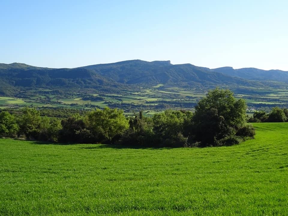 Pensamientos de mayo: pero si estáis llenos de buena voluntad…