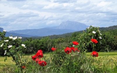 Pensamientos de mayo: alcanzar con el pensamiento las regiones sutiles