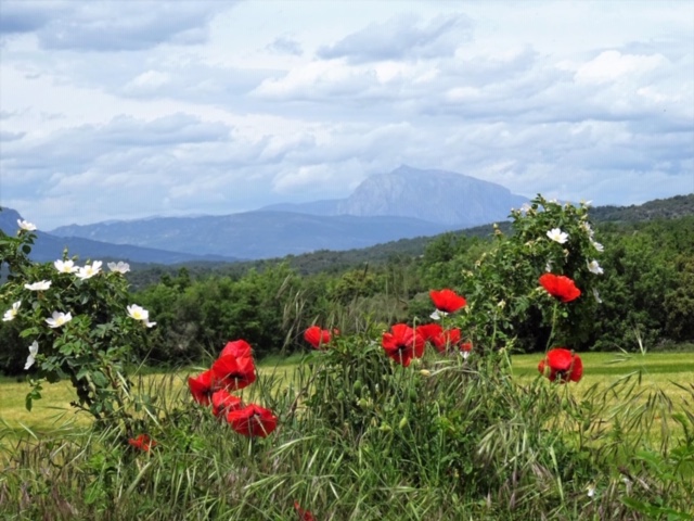 Pensamientos de mayo: alcanzar con el pensamiento las regiones sutiles