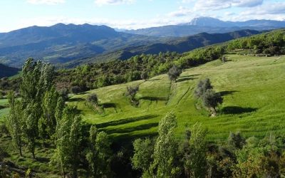 Pensamientos de mayo: la intensidad de la luz