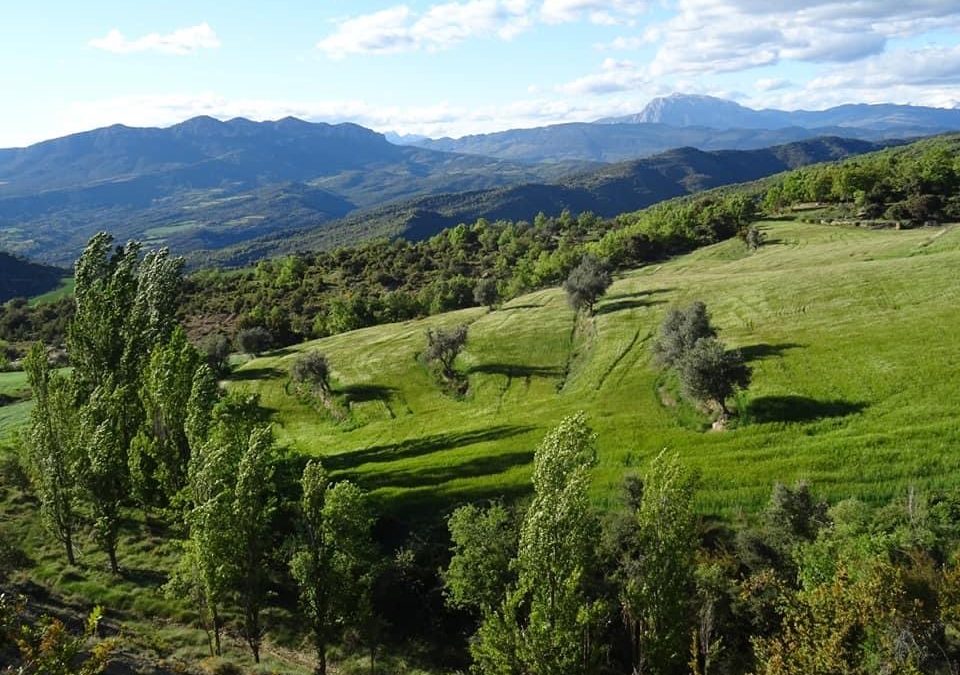 Pensamientos de mayo: la intensidad de la luz