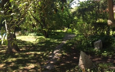 Pensamientos de mayo: buscar la sabiduría y la verdad