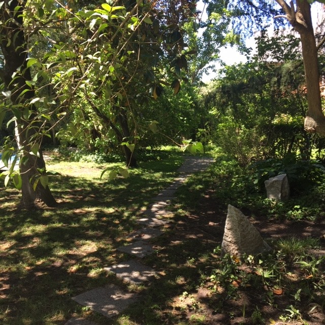 Pensamientos de mayo: buscar la sabiduría y la verdad