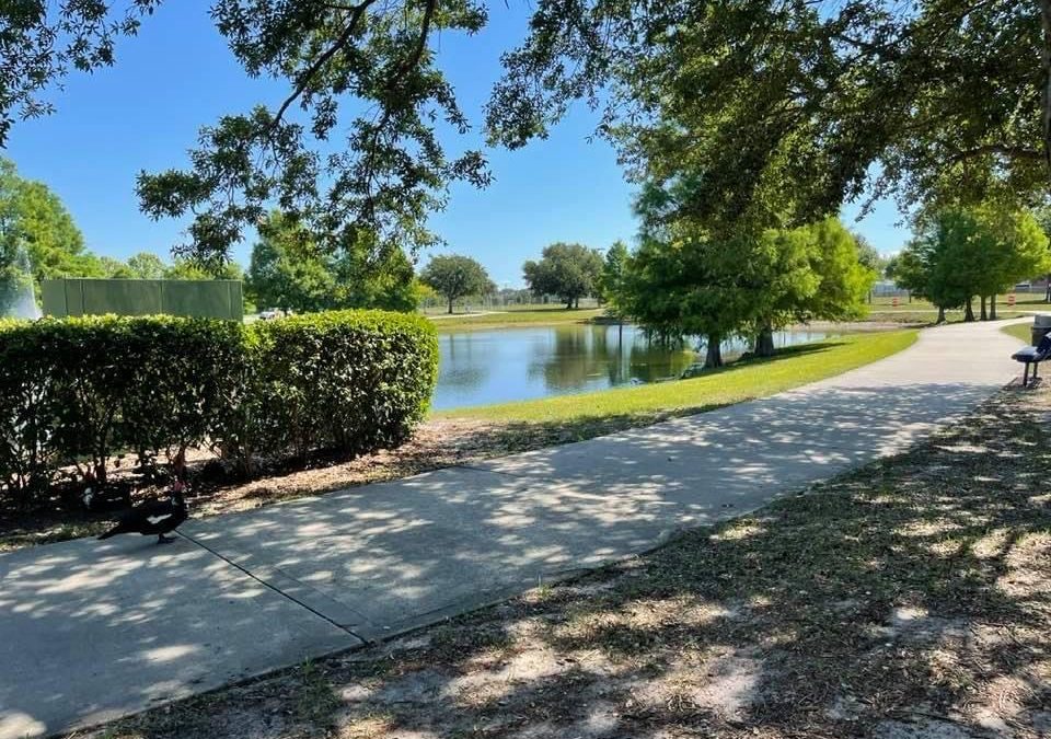 Pensamientos de mayo: cuando la tormenta haya pasado…