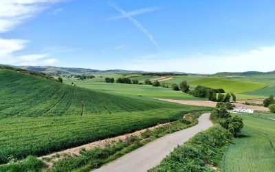 Pensamientos de mayo: tomad esta luz…