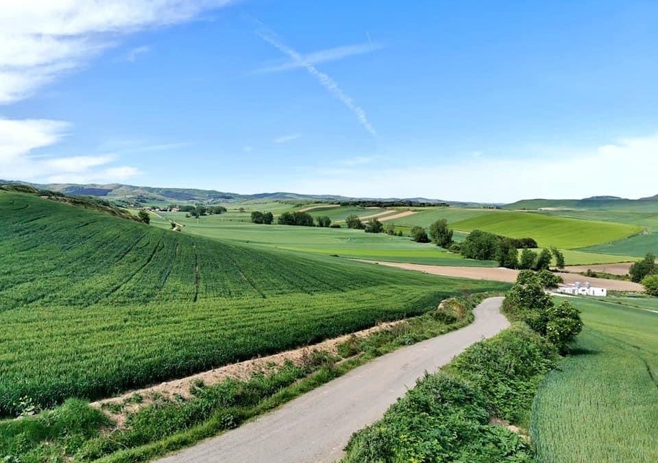 Pensamientos de mayo: tomad esta luz…