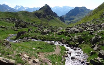 Pensamientos de junio: la abundancia, el esplendor, la libertad…