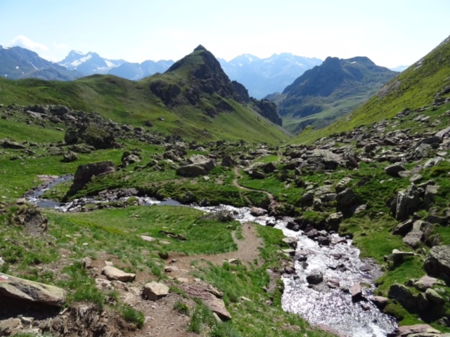 Pensamientos de junio: la abundancia, el esplendor, la libertad…